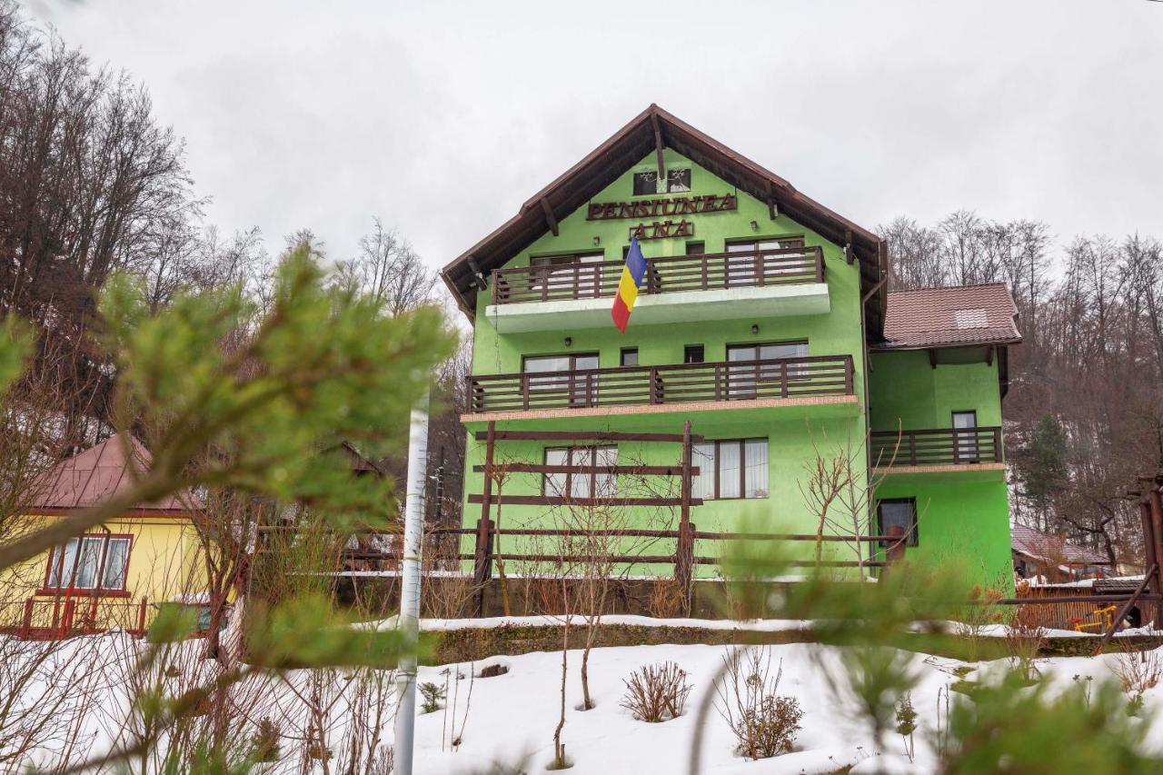 Pensiunea Ana Cavnic Exterior foto