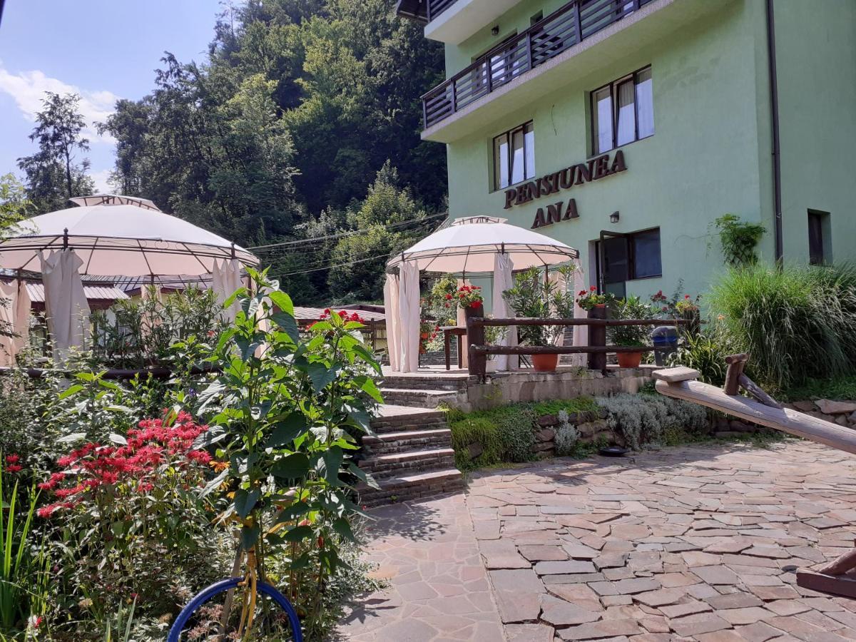 Pensiunea Ana Cavnic Exterior foto