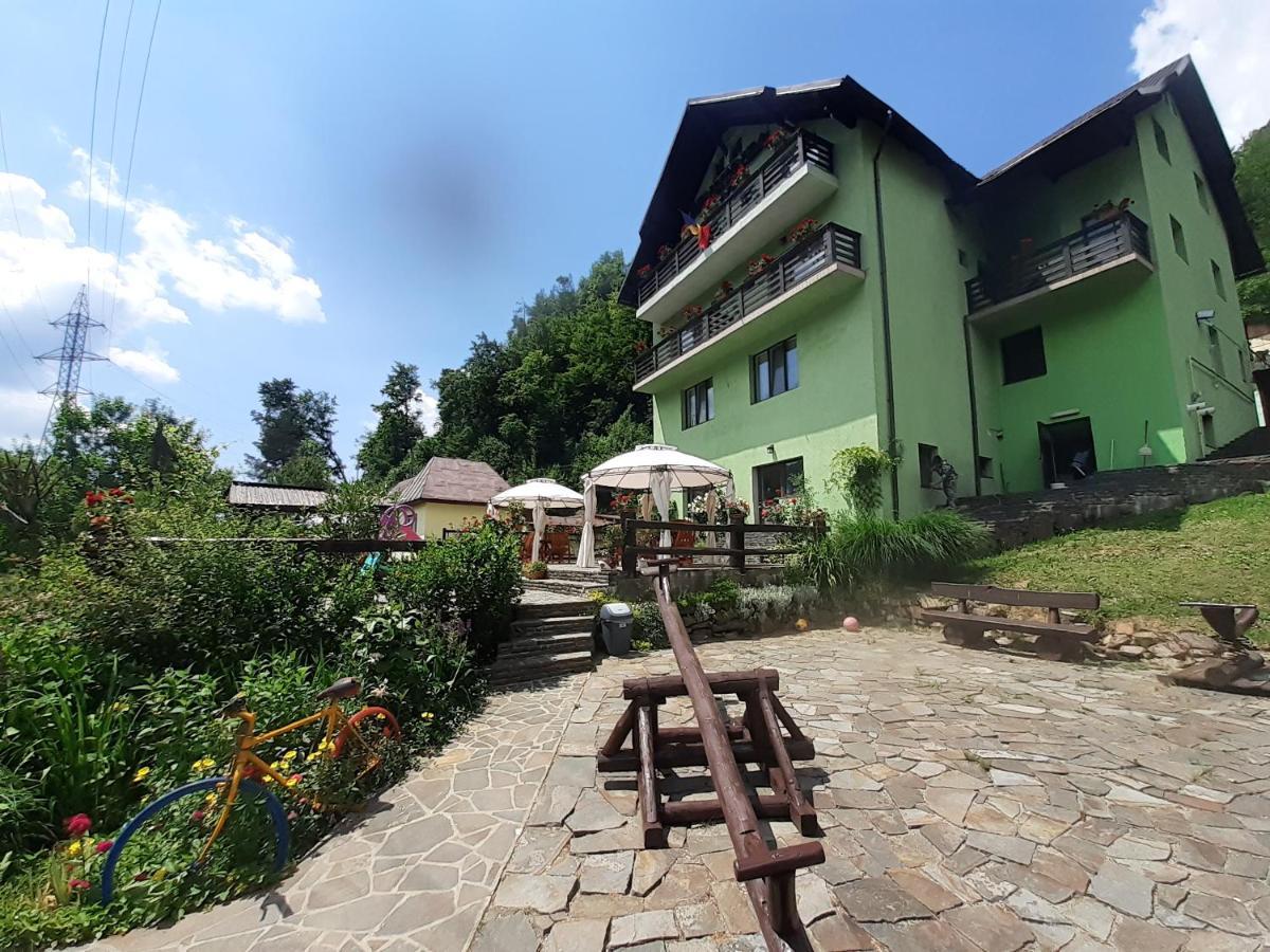Pensiunea Ana Cavnic Exterior foto